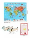 Mapa Mundial Magnetico cognitivo