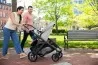 Coche UPPAbaby Vista V2 Anthony