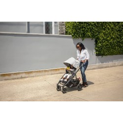 Coche UPPAbaby Cruz V2 Anthony