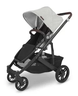 Coche UPPAbaby Cruz V2 Anthony
