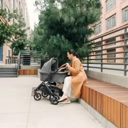 Moises UPPAbaby v3 GREYSON