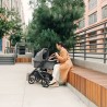 Moises UPPAbaby v3 GREYSON