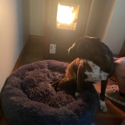 CAMA PARA MASCOTAS 80x80 CALIDAD SUPERIOR