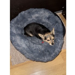 CAMA PARA MASCOTAS 60x60 CALIDAD SUPERIOR