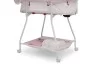 Cuna moises Classic Princess Delta Children
