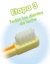 Cepillo de dientes tercera Etapa Pigeon