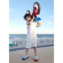 Bicicleta de aprendizaje Navigator.