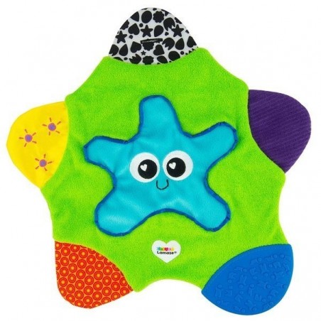 Manta estrella de mar Manta estrella de mar